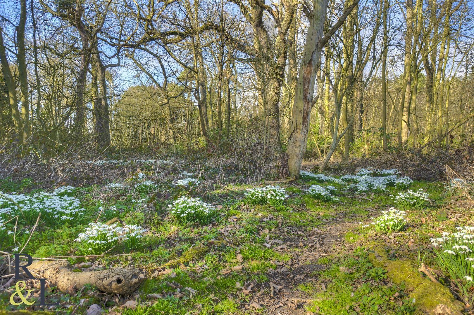 Property image for Widmerpool Park, Widmerpool, Nottingham