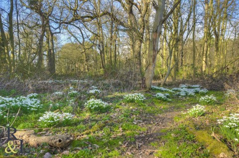 Property thumbnail image for Widmerpool Park, Widmerpool, Nottingham